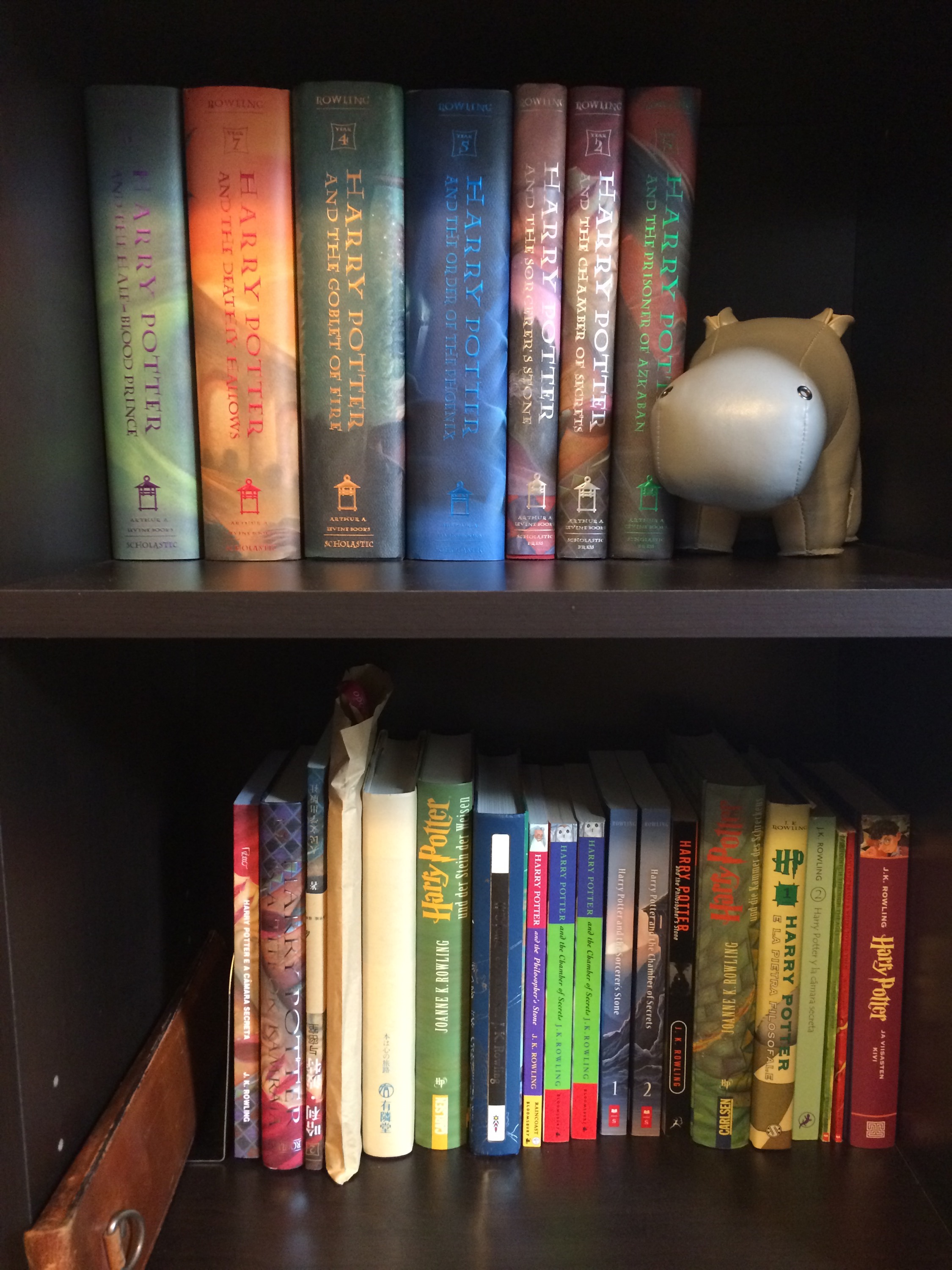 Harry Potter from around the world