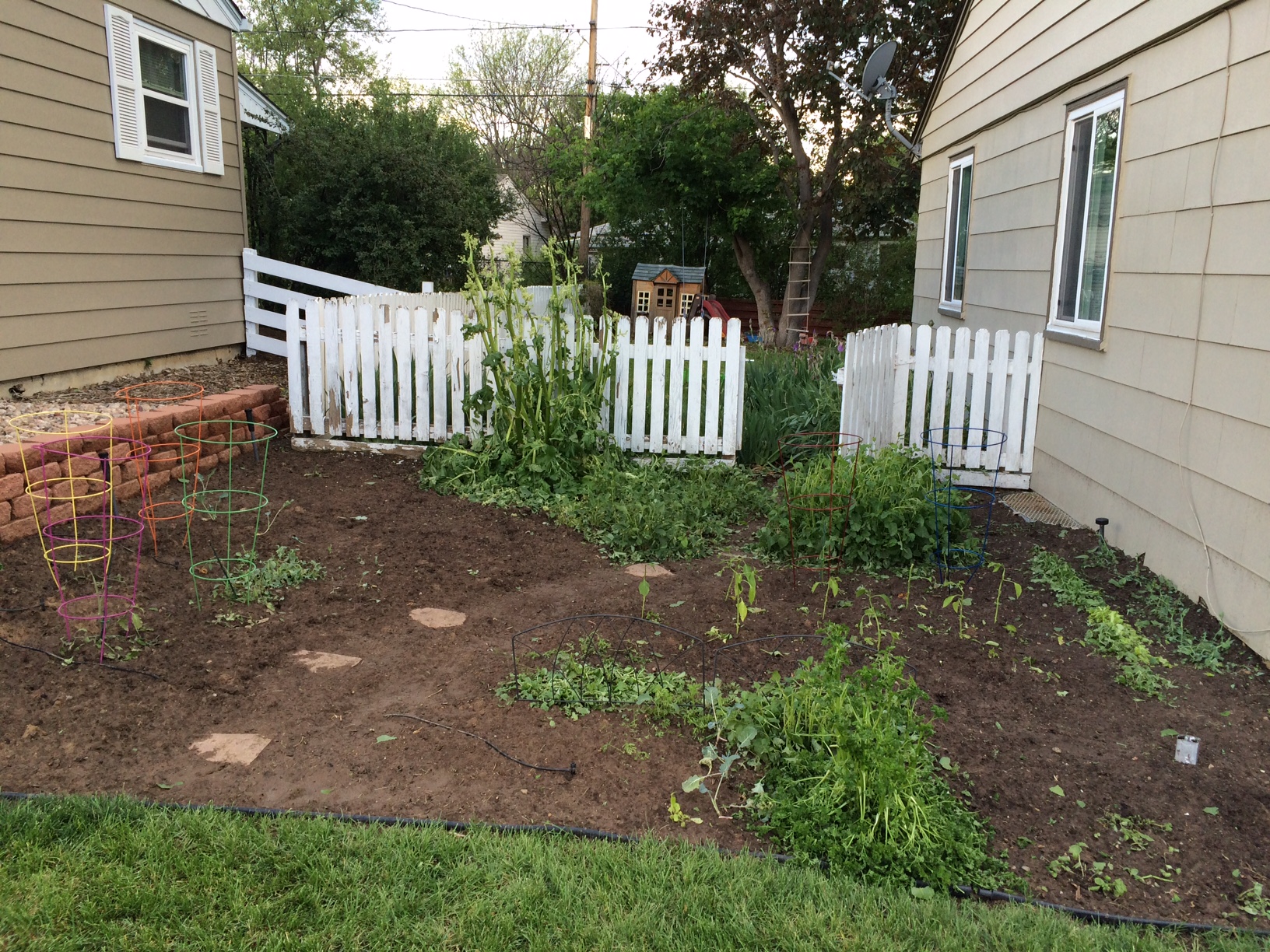 Image 3 - Hail Damage