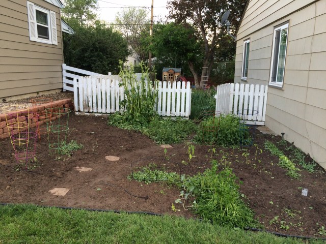 Image 3 - Hail Damage