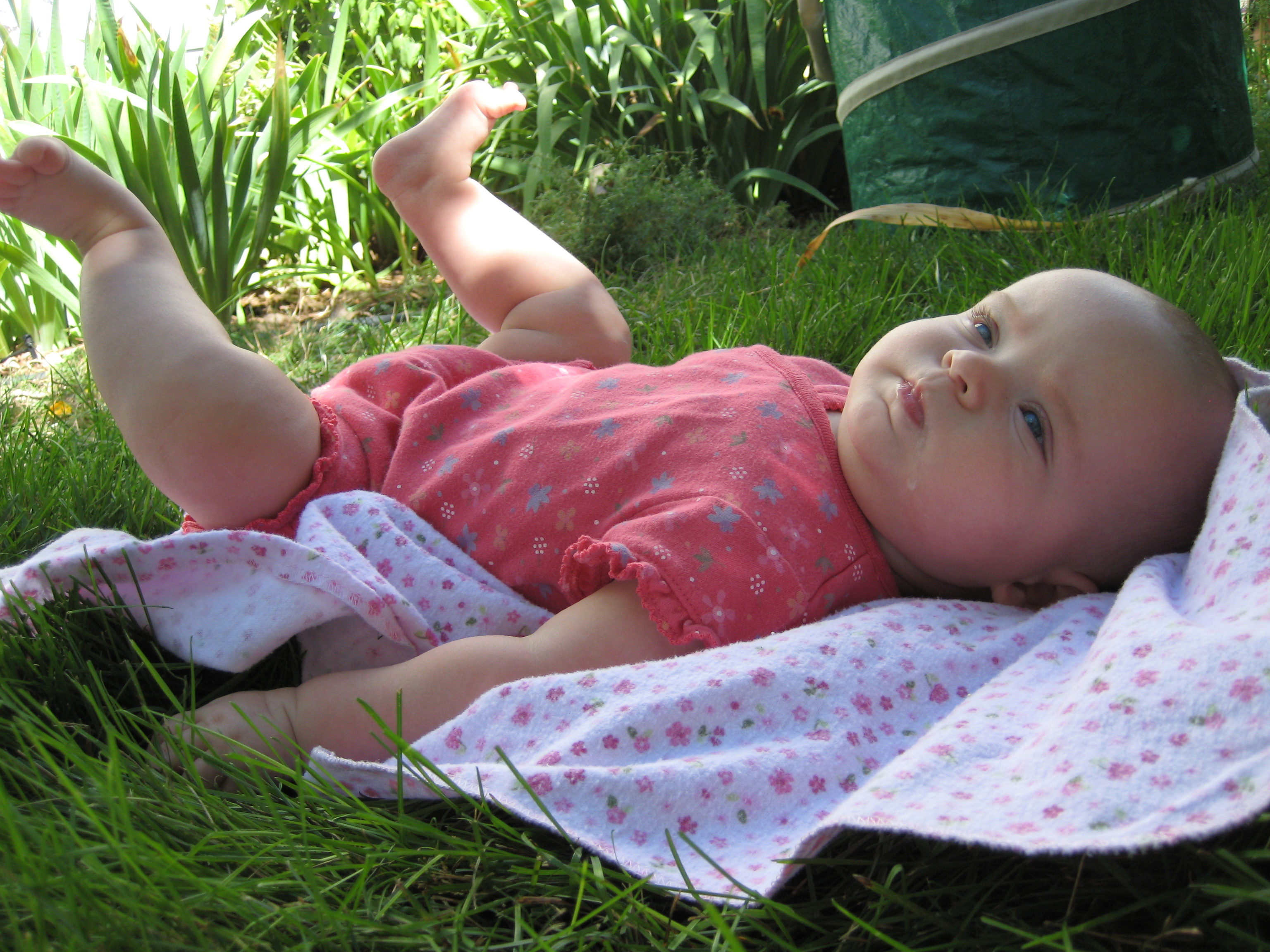 Image 7 - baby in the garden
