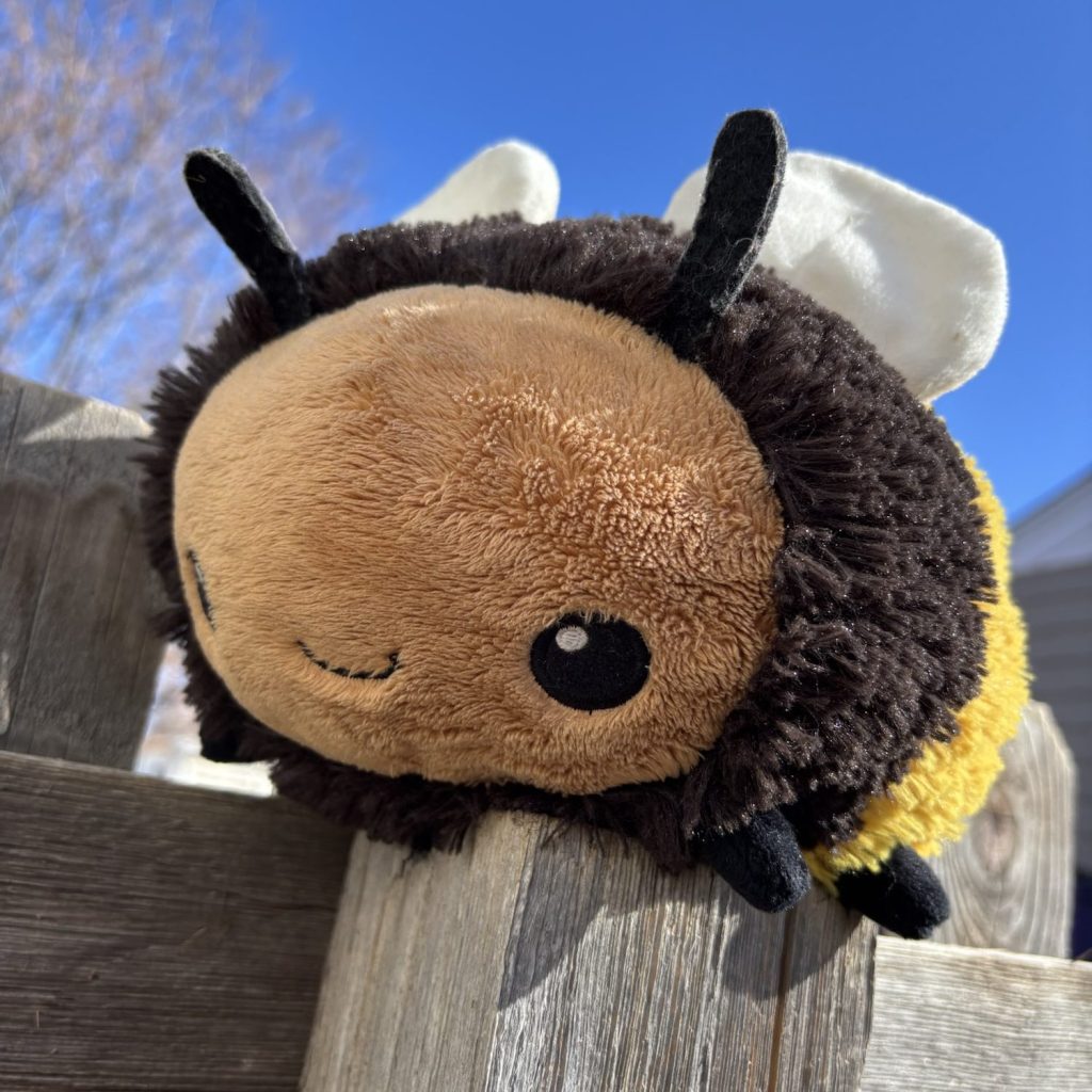Plush "bumblecat" sitting on a wooden fence, which was the inspiration for my short story.
